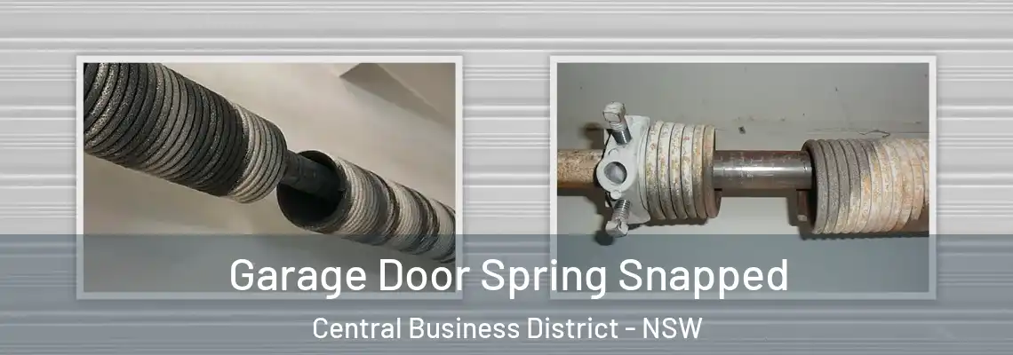 Garage Door Spring Snapped Central Business District - NSW