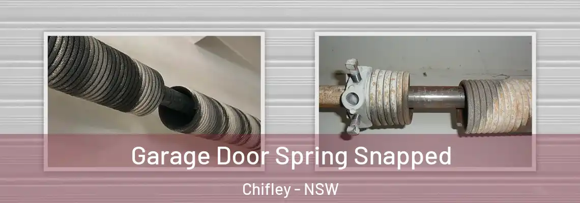  Garage Door Spring Snapped Chifley - NSW