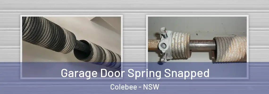 Garage Door Spring Snapped Colebee - NSW