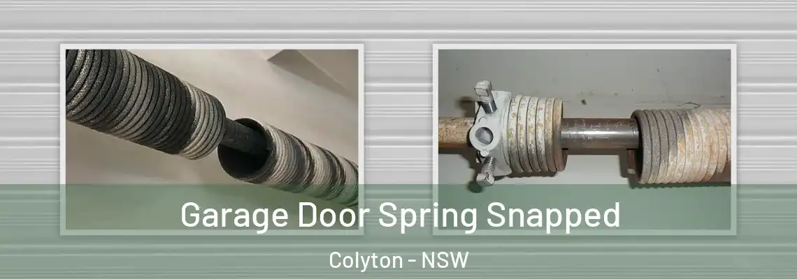 Garage Door Spring Snapped Colyton - NSW