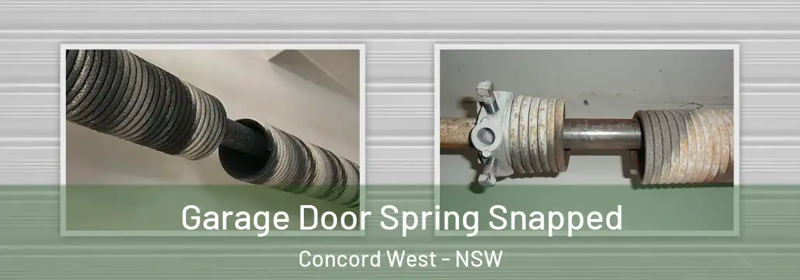 Garage Door Spring Snapped Concord West - NSW