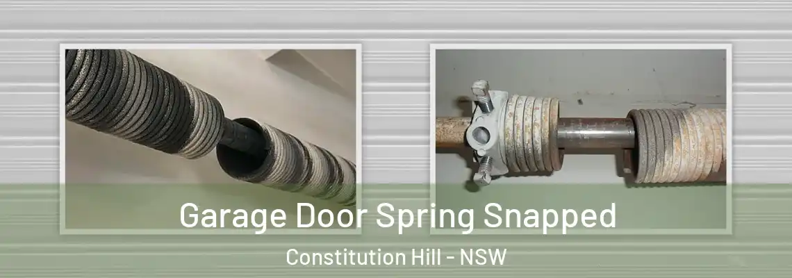 Garage Door Spring Snapped Constitution Hill - NSW