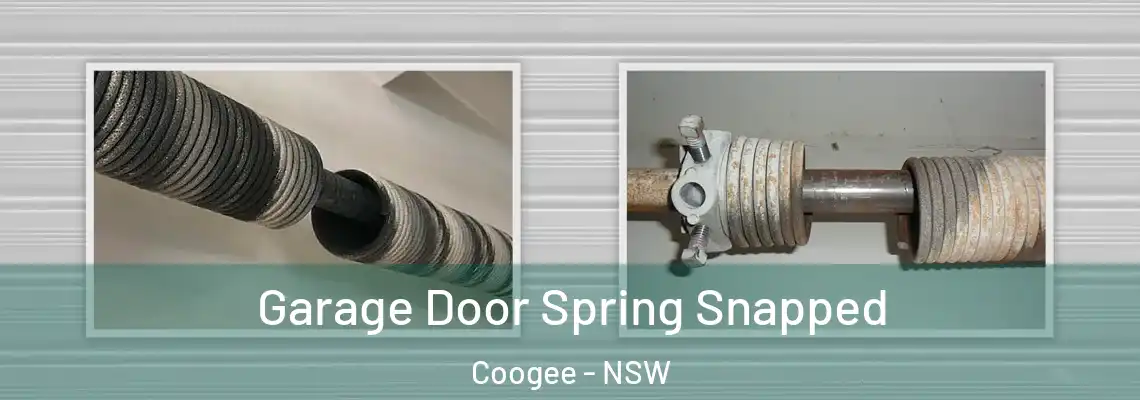 Garage Door Spring Snapped Coogee - NSW