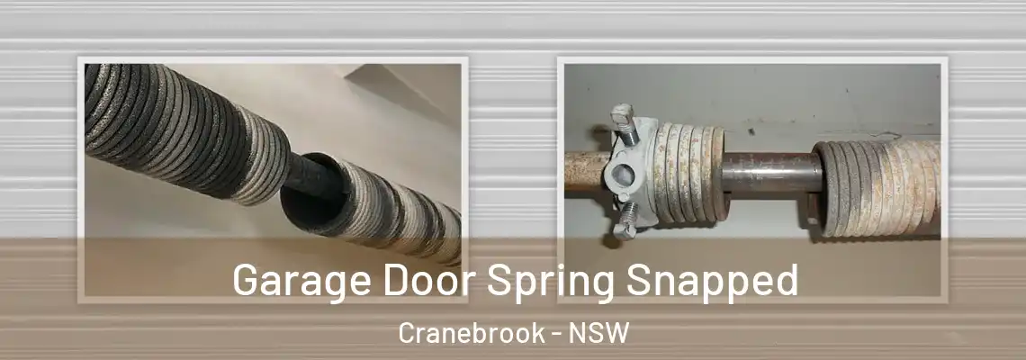 Garage Door Spring Snapped Cranebrook - NSW
