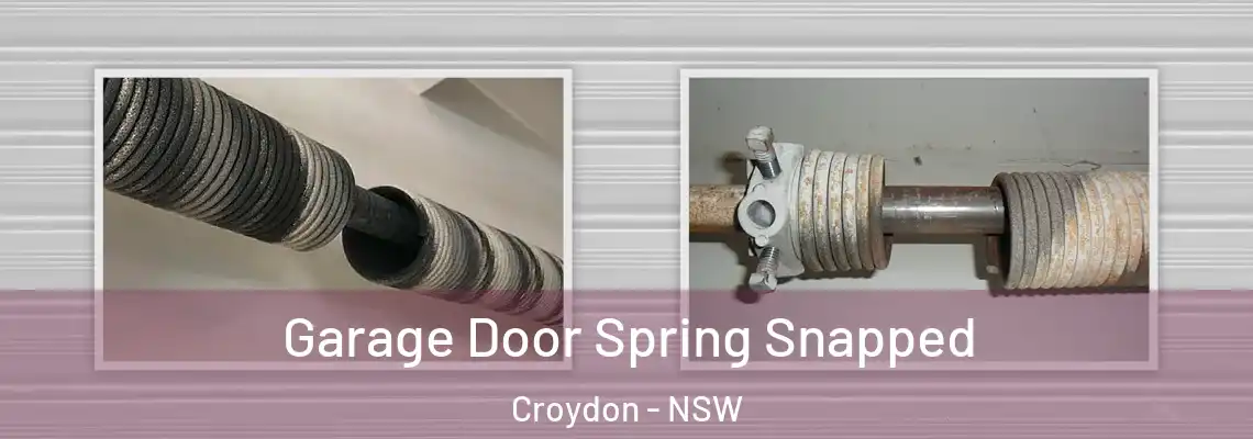 Garage Door Spring Snapped Croydon - NSW