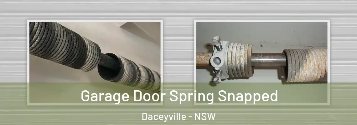 Garage Door Spring Snapped Daceyville - NSW