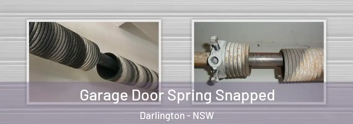 Garage Door Spring Snapped Darlington - NSW