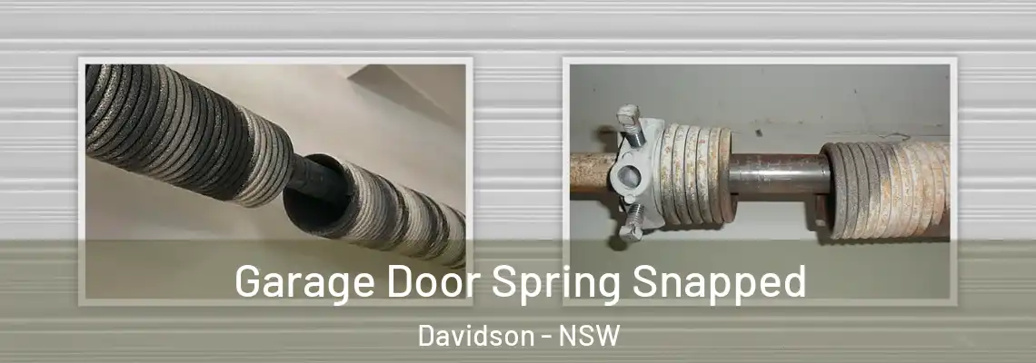 Garage Door Spring Snapped Davidson - NSW