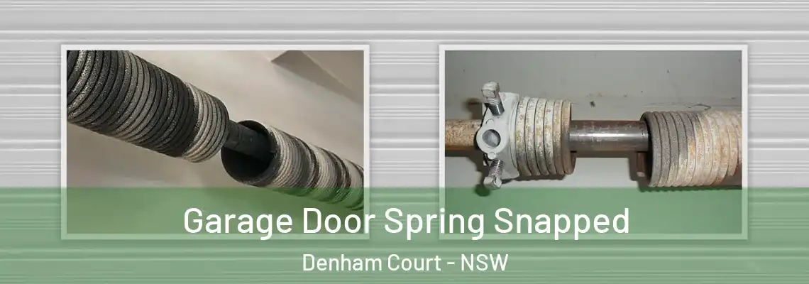Garage Door Spring Snapped Denham Court - NSW