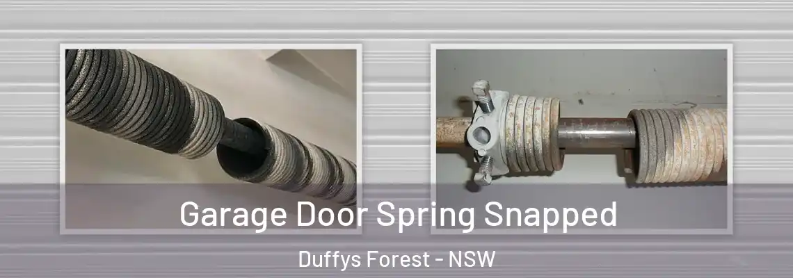 Garage Door Spring Snapped Duffys Forest - NSW