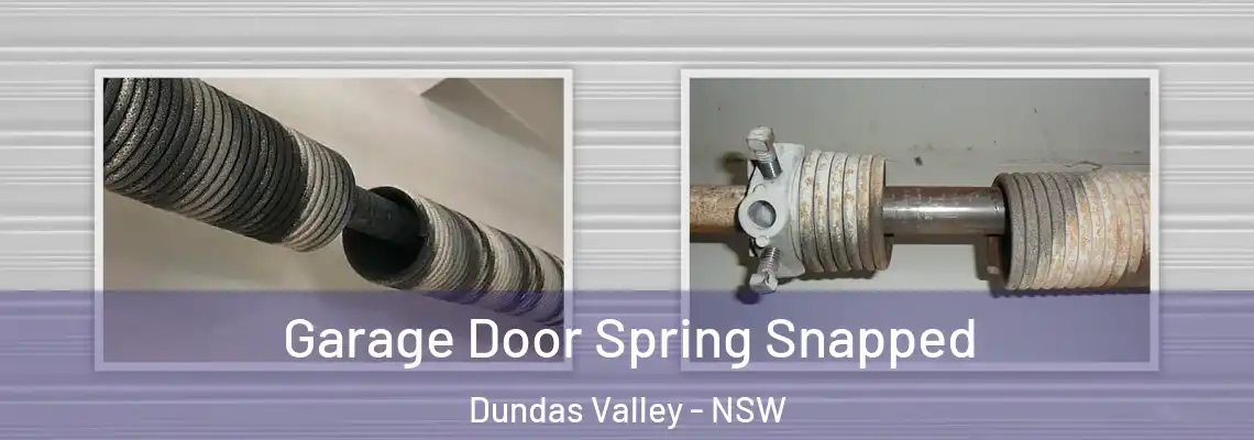 Garage Door Spring Snapped Dundas Valley - NSW