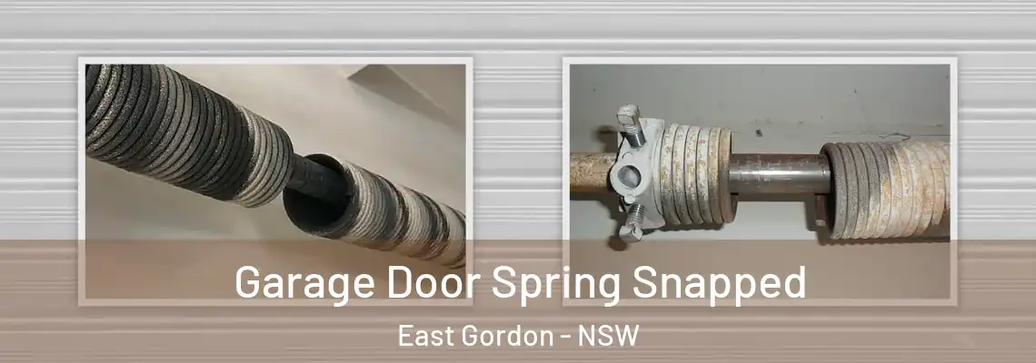 Garage Door Spring Snapped East Gordon - NSW