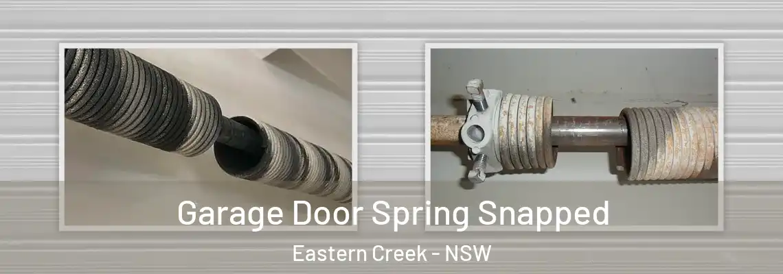 Garage Door Spring Snapped Eastern Creek - NSW