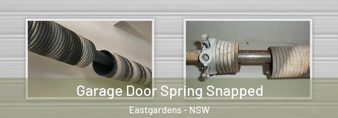 Garage Door Spring Snapped Eastgardens - NSW