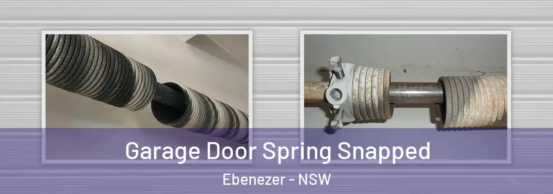 Garage Door Spring Snapped Ebenezer - NSW