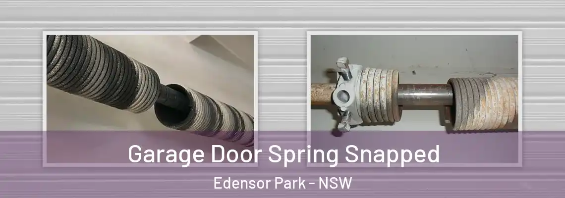 Garage Door Spring Snapped Edensor Park - NSW