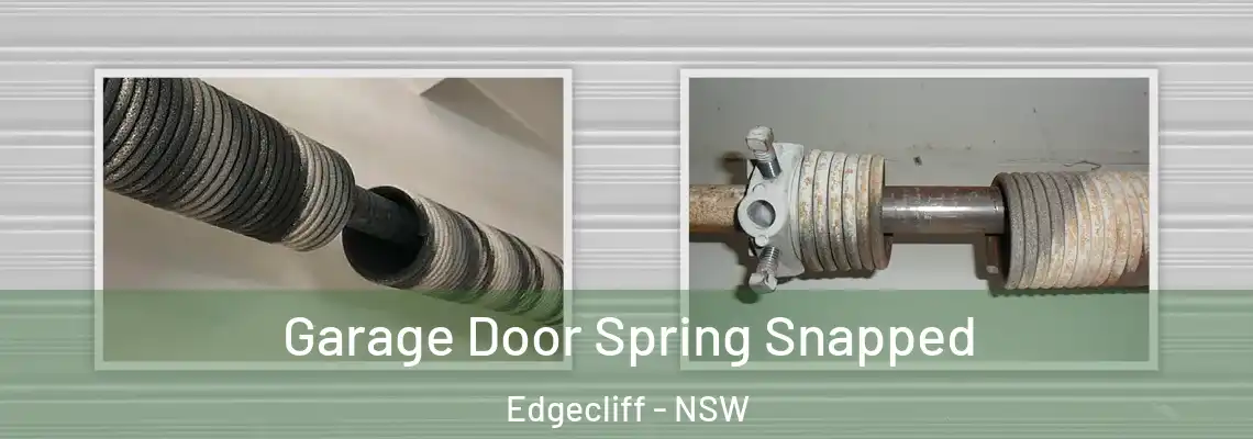 Garage Door Spring Snapped Edgecliff - NSW