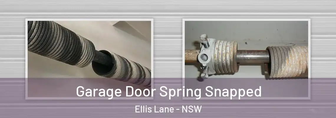 Garage Door Spring Snapped Ellis Lane - NSW