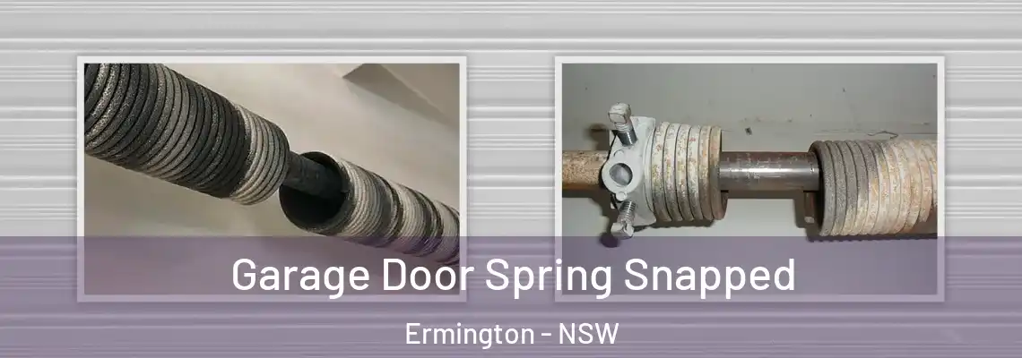 Garage Door Spring Snapped Ermington - NSW