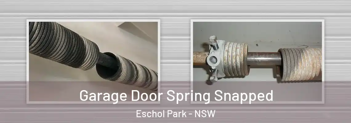 Garage Door Spring Snapped Eschol Park - NSW
