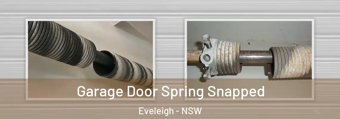 Garage Door Spring Snapped Eveleigh - NSW