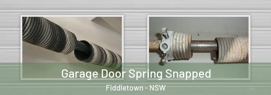 Garage Door Spring Snapped Fiddletown - NSW