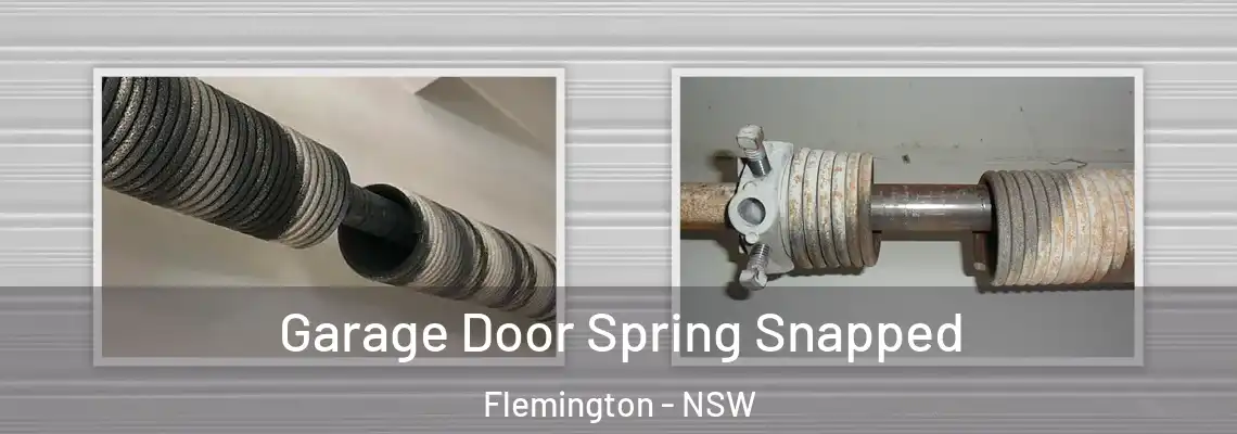Garage Door Spring Snapped Flemington - NSW