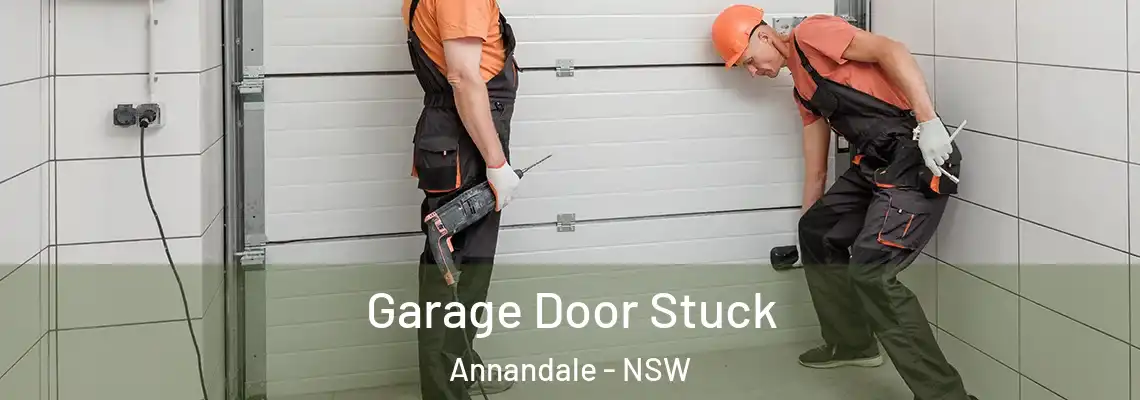 Garage Door Stuck Annandale - NSW