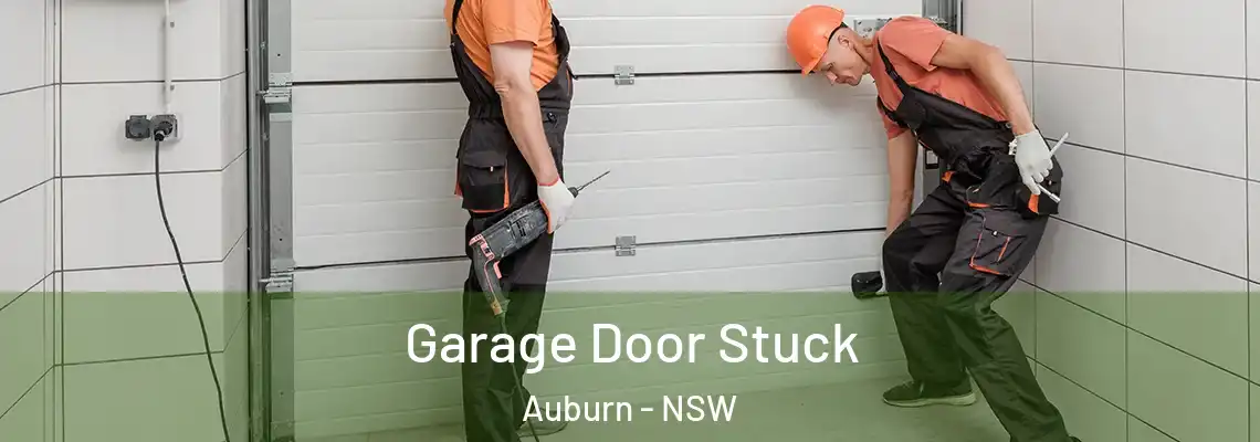 Garage Door Stuck Auburn - NSW