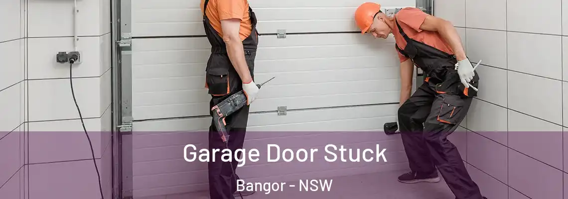 Garage Door Stuck Bangor - NSW