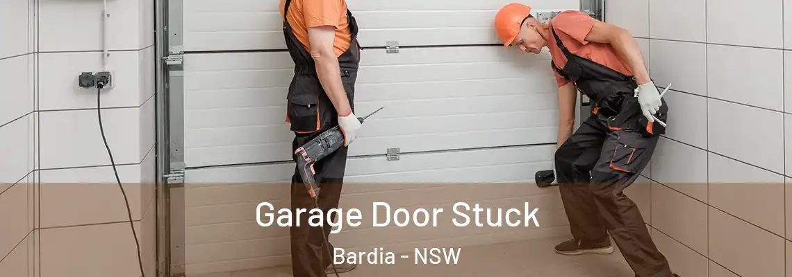 Garage Door Stuck Bardia - NSW