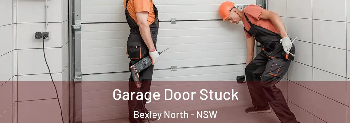 Garage Door Stuck Bexley North - NSW