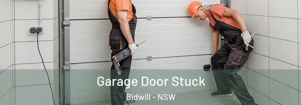 Garage Door Stuck Bidwill - NSW