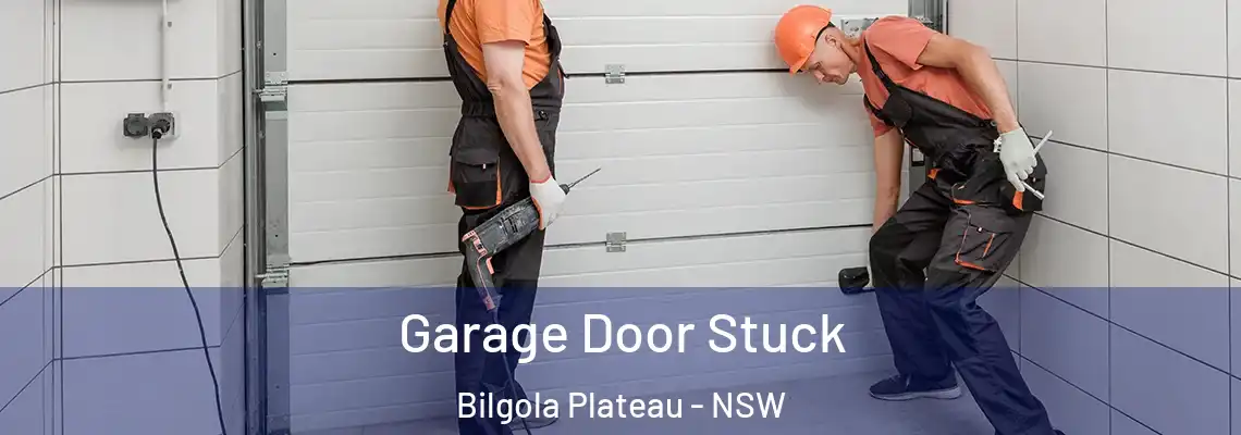 Garage Door Stuck Bilgola Plateau - NSW