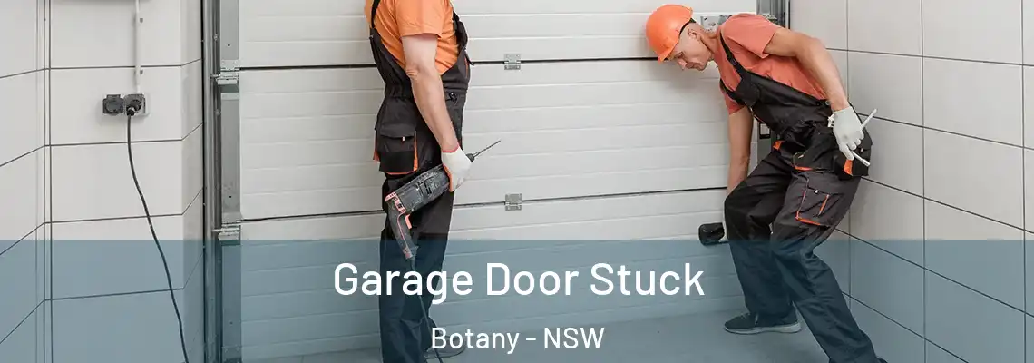 Garage Door Stuck Botany - NSW