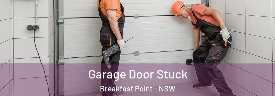 Garage Door Stuck Breakfast Point - NSW