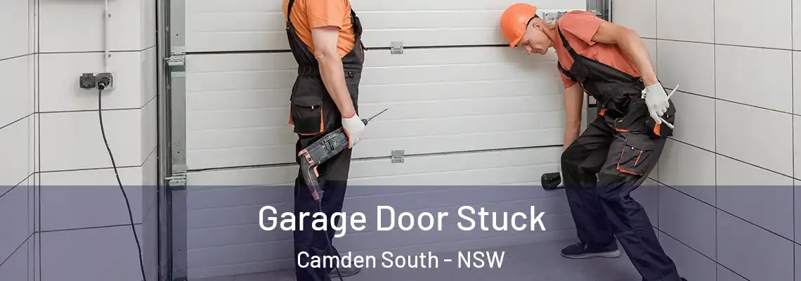 Garage Door Stuck Camden South - NSW