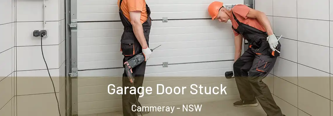 Garage Door Stuck Cammeray - NSW