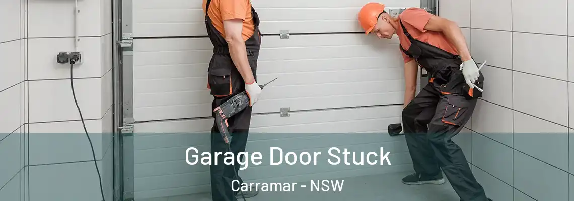 Garage Door Stuck Carramar - NSW