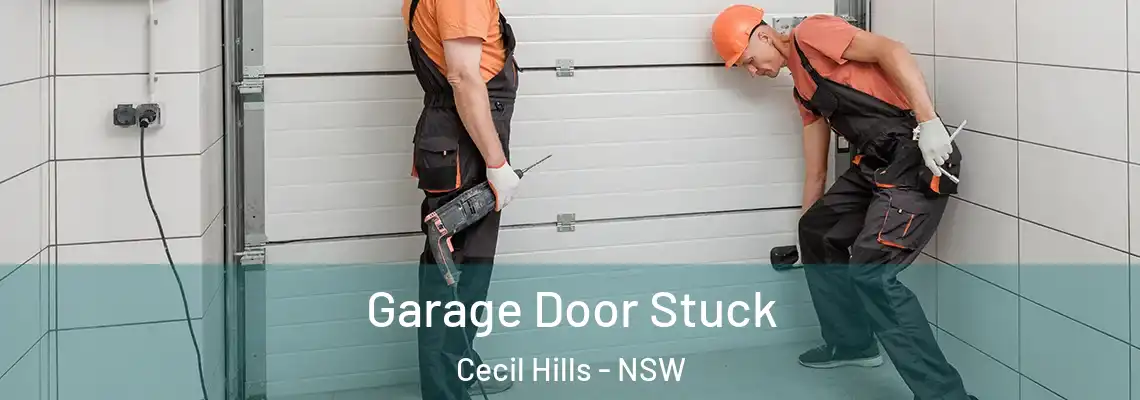  Garage Door Stuck Cecil Hills - NSW