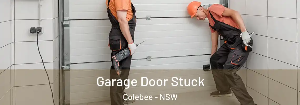 Garage Door Stuck Colebee - NSW