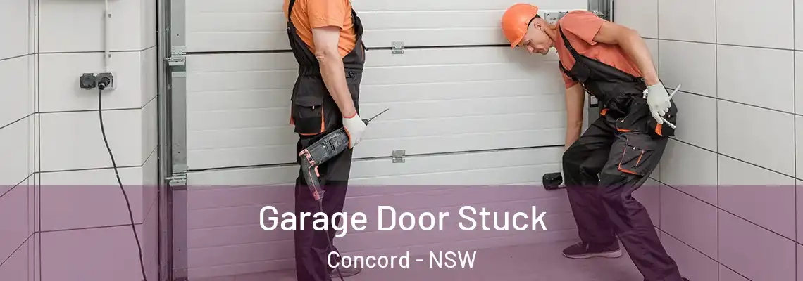 Garage Door Stuck Concord - NSW