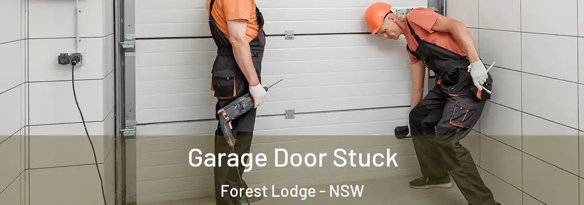 Garage Door Stuck Forest Lodge - NSW