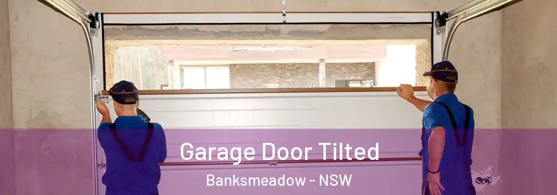 Garage Door Tilted Banksmeadow - NSW