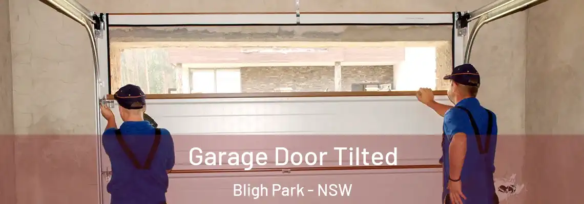 Garage Door Tilted Bligh Park - NSW