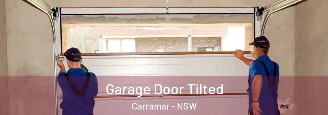 Garage Door Tilted Carramar - NSW
