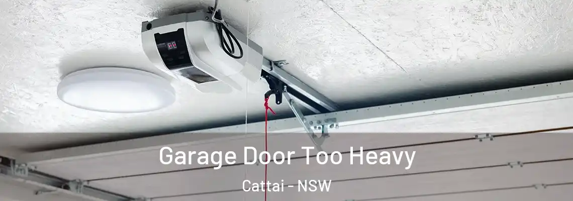 Garage Door Too Heavy Cattai - NSW