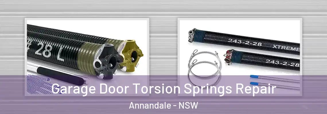 Garage Door Torsion Springs Repair Annandale - NSW