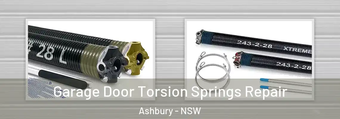 Garage Door Torsion Springs Repair Ashbury - NSW
