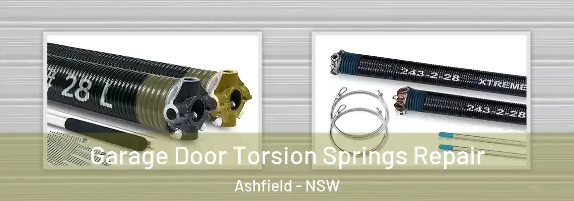  Garage Door Torsion Springs Repair Ashfield - NSW
